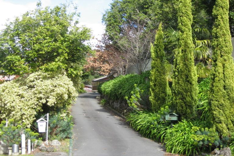 Photo of property in 60 Mchardy Street, Havelock North, 4130