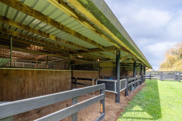 Photo of property in 204 Racecourse Road, Cambridge, 3493