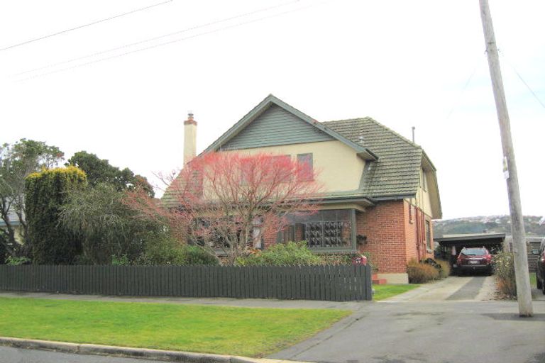 Photo of property in 17 Wycolla Avenue, Saint Clair, Dunedin, 9012