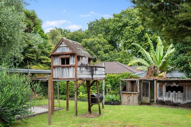 Photo of property in 55 Rutherford Street, Chedworth, Hamilton, 3210