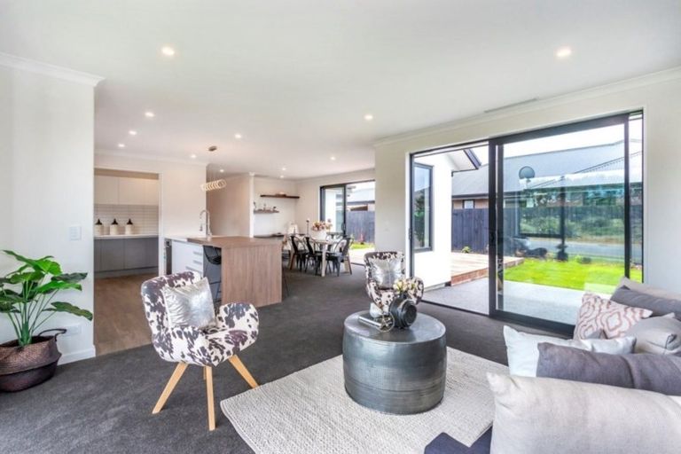 Photo of property in 81 Jimmy Adams Terrace, Lincoln, 7608