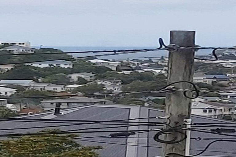 Photo of property in 30 Konini Road, Hataitai, Wellington, 6021