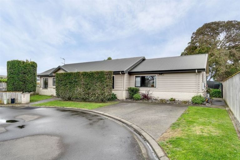 Photo of property in 20 Burness Road, Greenmeadows, Napier, 4112