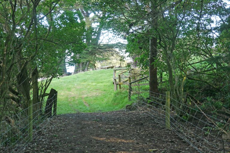 Photo of property in 930 Highcliff Road, Highcliff, Dunedin, 9077