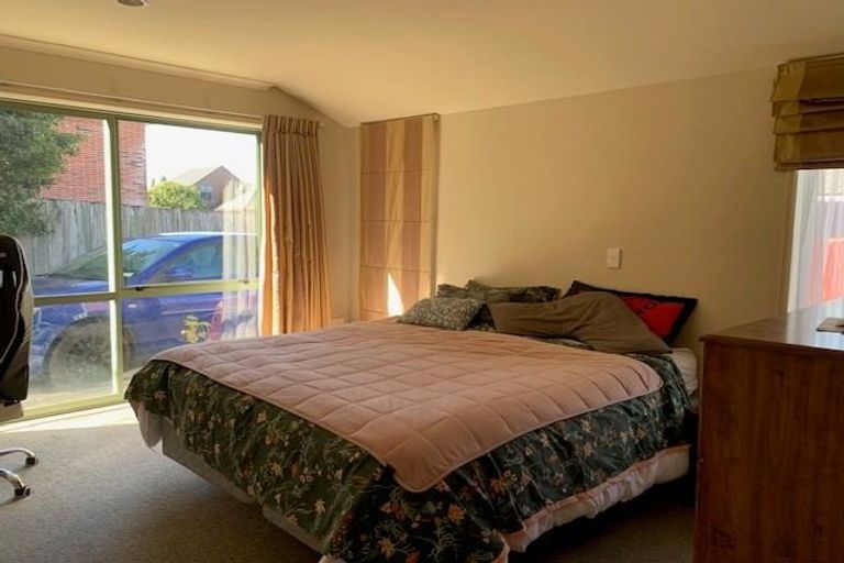 Photo of property in 24a Vine Avenue, Maungatapu, Tauranga, 3112