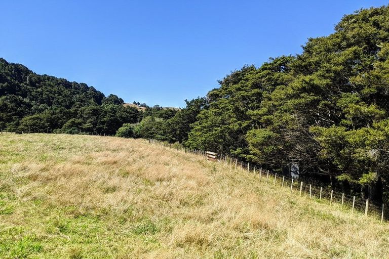 Photo of property in 660 West Coast Road, Makarau, Warkworth, 0981