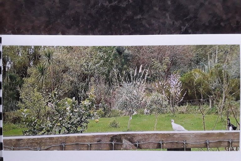 Photo of property in 295 Waihue Road, Dargaville, 0372