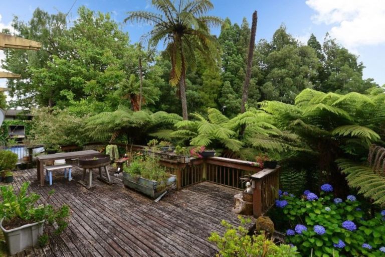 Photo of property in 59 Berkley Avenue, Hillcrest, Hamilton, 3216