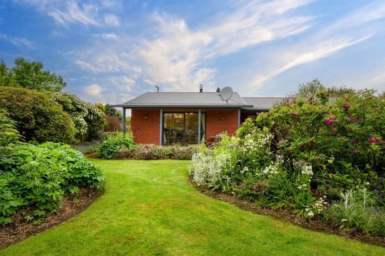 Photo of property in 8 Butchers Lane, Waimate, 7924