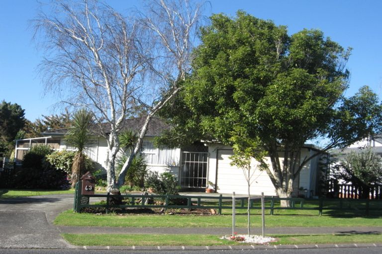 Photo of property in 43 Aarts Avenue, Manurewa, Auckland, 2102