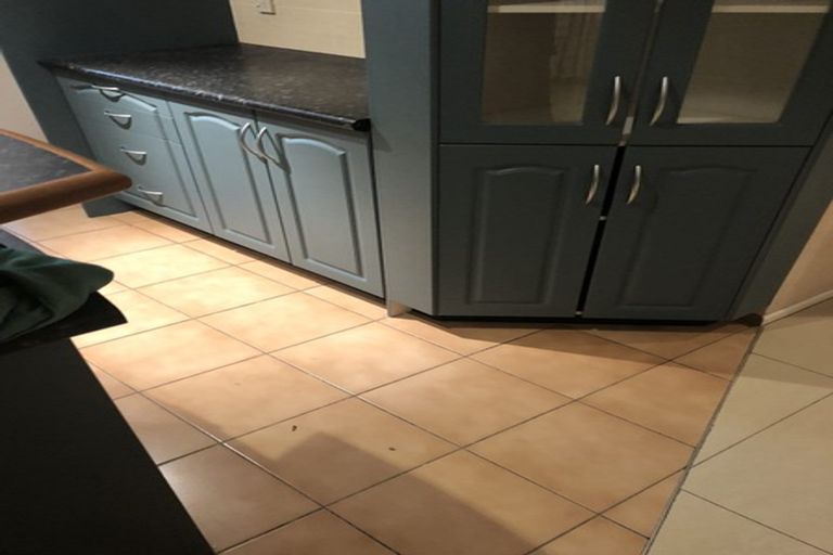 Photo of property in 25 Medvale Avenue, Flat Bush, Auckland, 2019