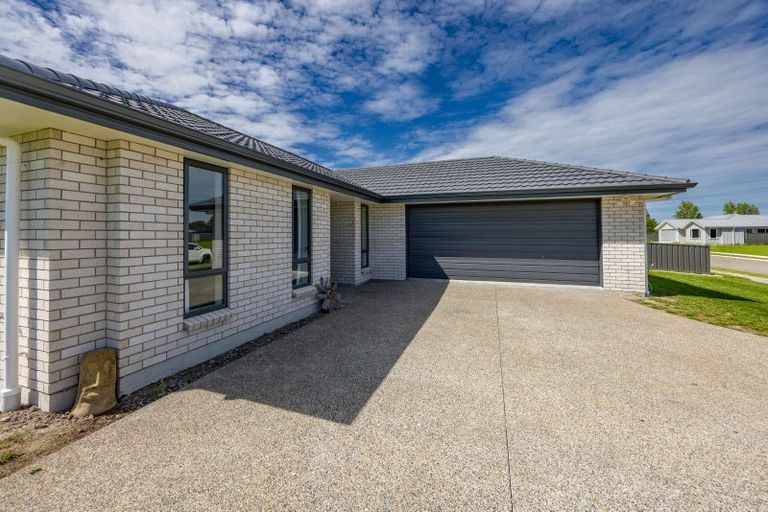 Photo of property in 92 Belgrove Drive, Waipukurau, 4200