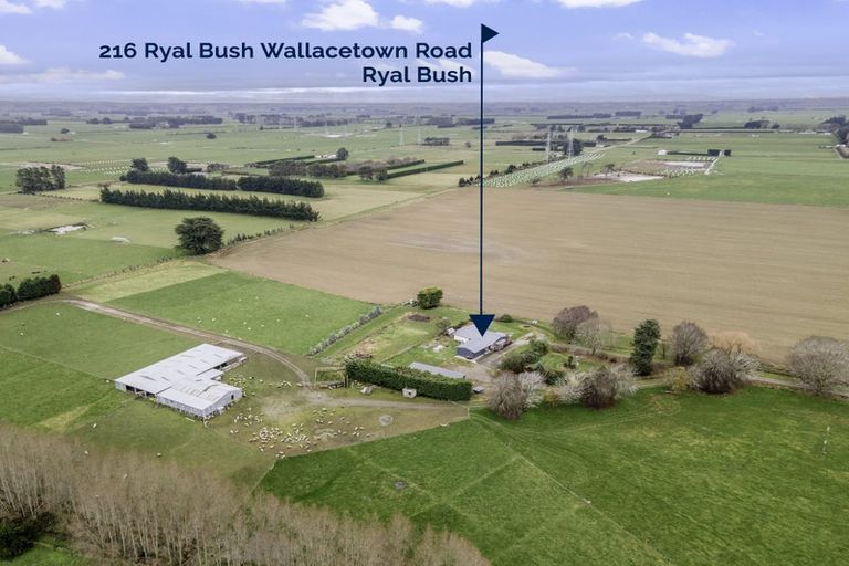Photo of property in 216 Ryal Bush Wallacetown Road, Branxholme, Invercargill, 9876
