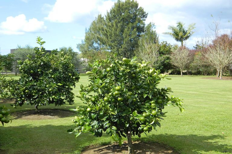 Photo of property in 10 Awhitu Road, Kerikeri, 0230