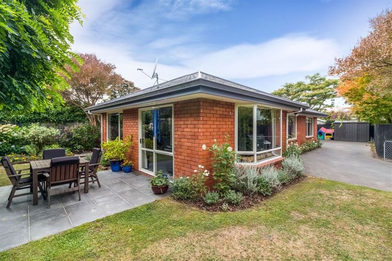 Photo of property in 3 Nina Lane, Somerfield, Christchurch, 8024