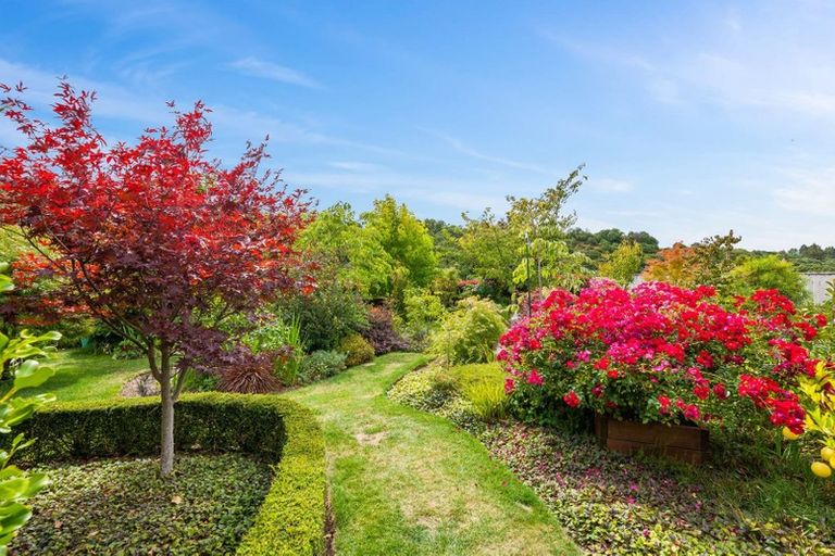 Photo of property in 39 Pukeko Way, Kinloch, Taupo, 3377