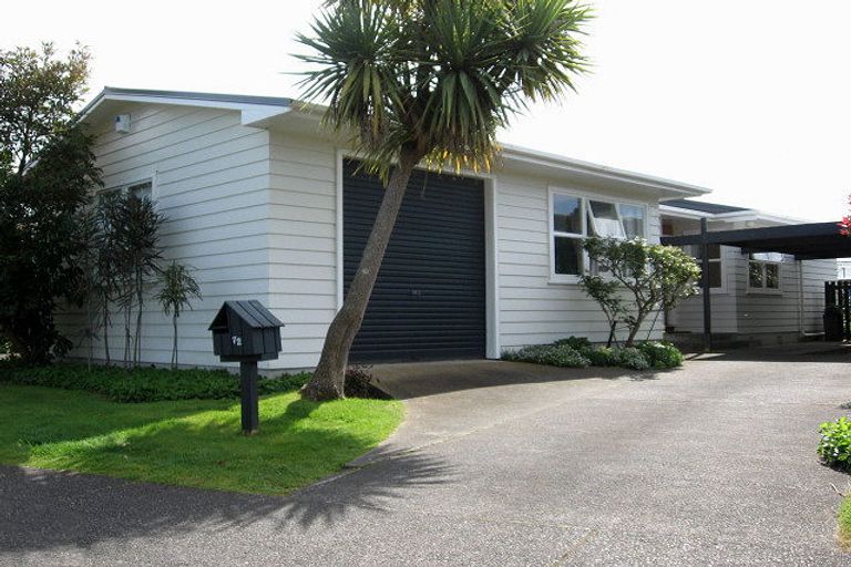 Photo of property in 72 Fitzherbert Avenue, Tawhero, Whanganui, 4501