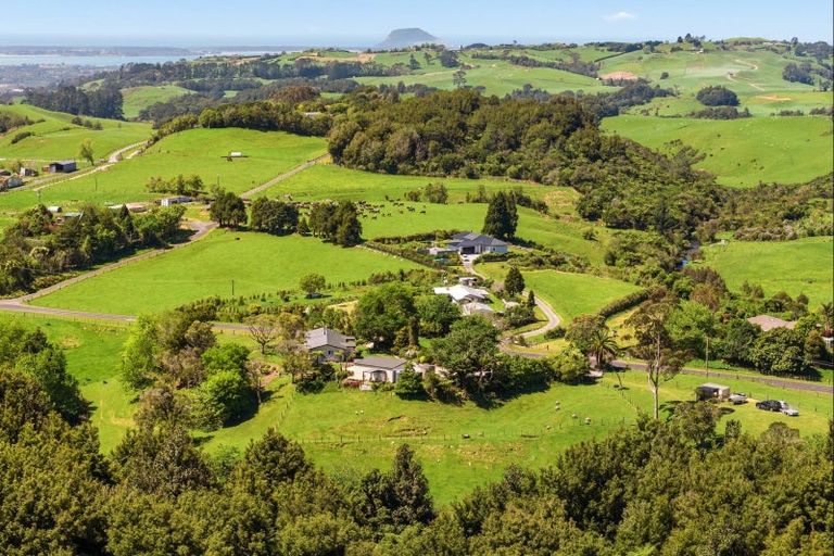 Photo of property in 42 Leyland Road, Whakamarama, Tauranga, 3179