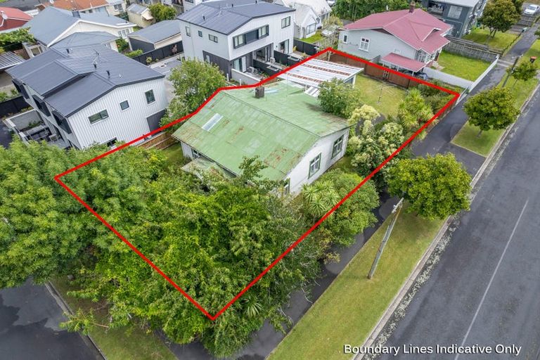 Photo of property in 131 Nixon Street, Hamilton East, Hamilton, 3216