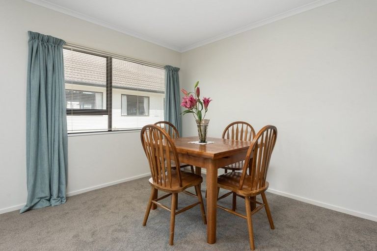 Photo of property in 8d Heath Street, Mount Maunganui, 3116