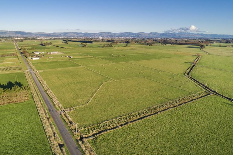 Photo of property in 83 Shamrock Street, Takaro, Palmerston North, 4412