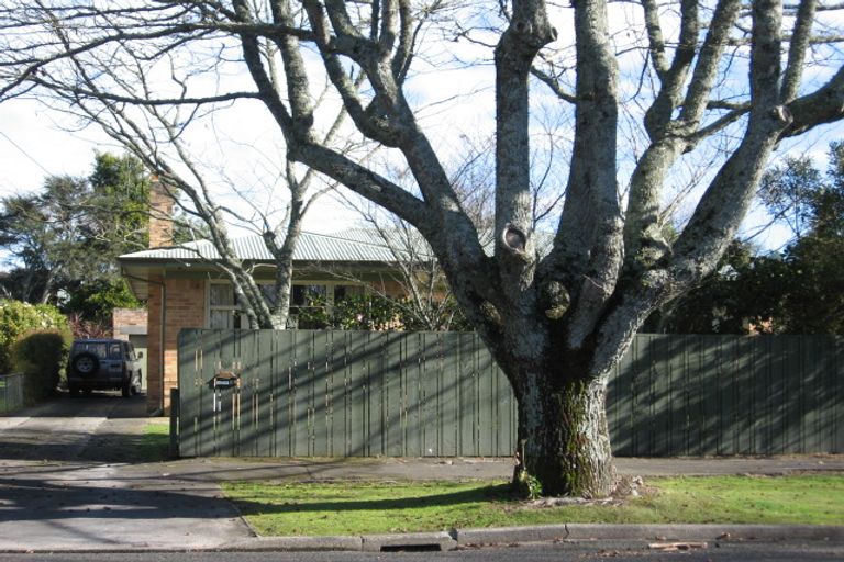 Photo of property in 19 Kitchener Street, Claudelands, Hamilton, 3214