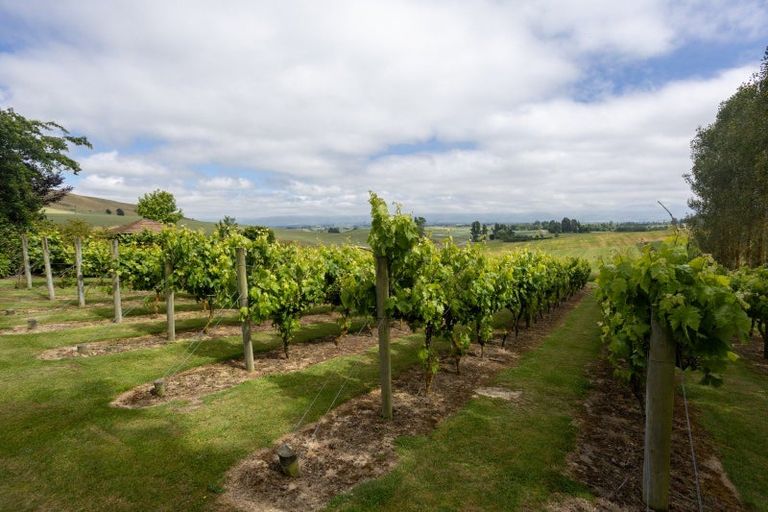 Photo of property in 156 Mount Michael Road, Fairlie, 7987