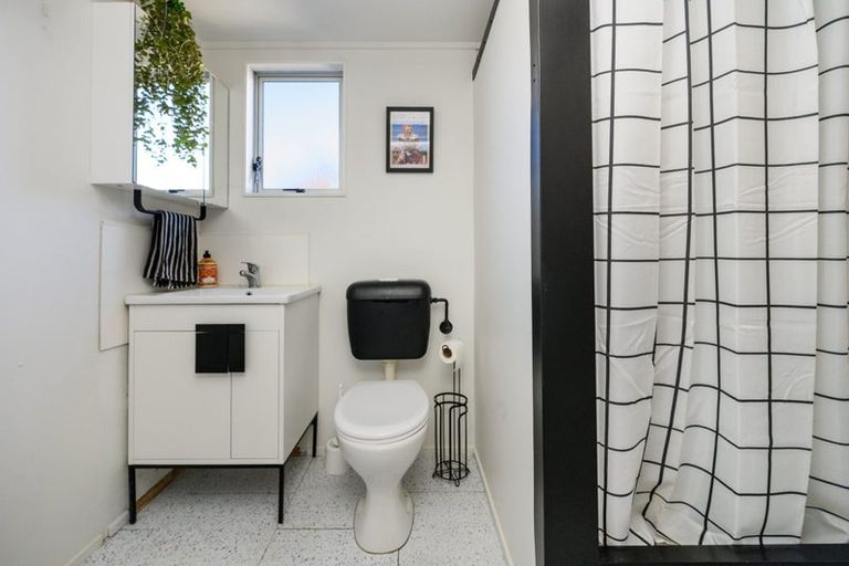 Photo of property in 101a Limbrick Street, Terrace End, Palmerston North, 4410