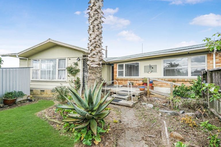 Photo of property in 19 Patricia Avenue, Hamilton East, Hamilton, 3216