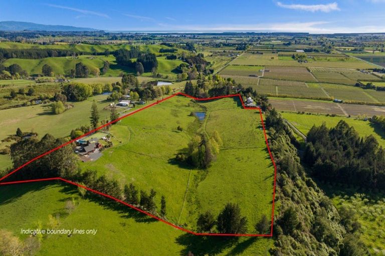 Photo of property in 289 Golden Hills Road, Appleby, Richmond, 7081