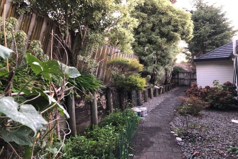 Photo of property in 28 Bayside Drive, Browns Bay, Auckland, 0630