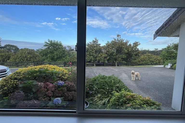 Photo of property in 229 Glenmore Road, Coatesville, Albany, 0793