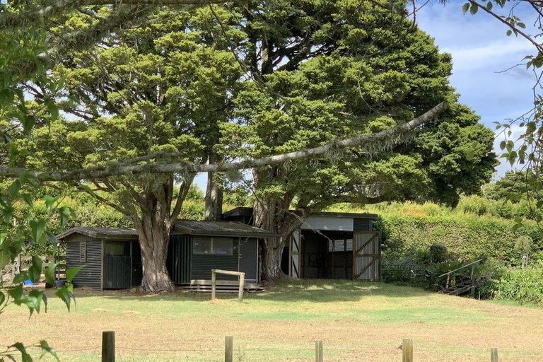 Photo of property in 341a Matauri Bay Road, Kaeo, 0478