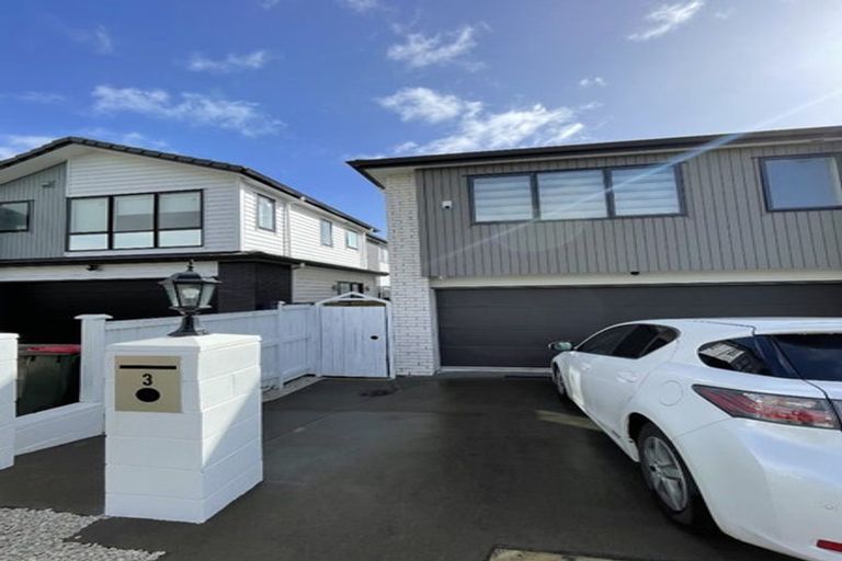 Photo of property in 3 Black Shed Road, Flat Bush, Auckland, 2019