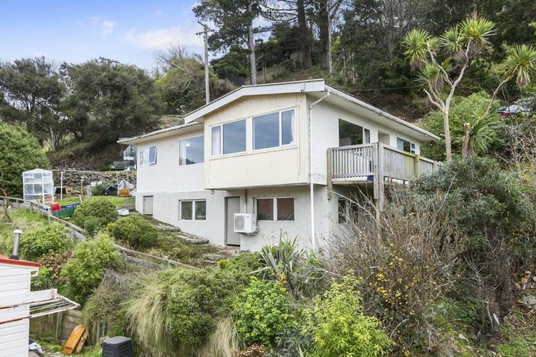 Photo of property in 51 Buccleugh Street, North East Valley, Dunedin, 9010