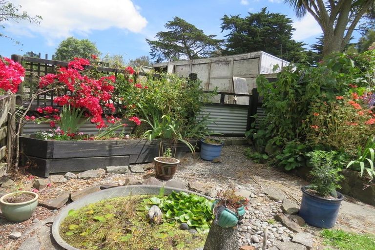 Photo of property in 244 Tinopai Road, Matakohe, 0593