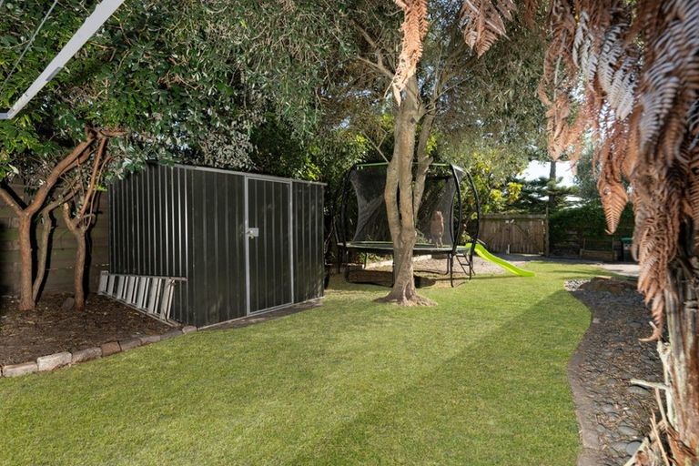 Photo of property in 99 Eversham Road, Mount Maunganui, 3116