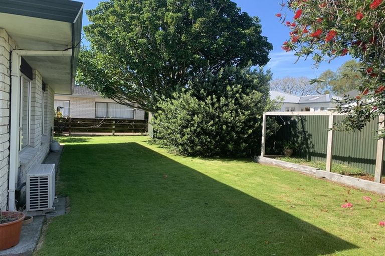Photo of property in 108c Fifteenth Avenue, Tauranga South, Tauranga, 3112