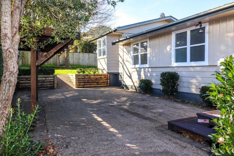 Photo of property in 208 Waikiekie Road, Thames, 3500