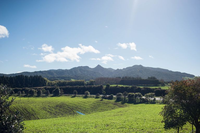 Photo of property in 138 Waimanu Road, Pukeatua, 3880