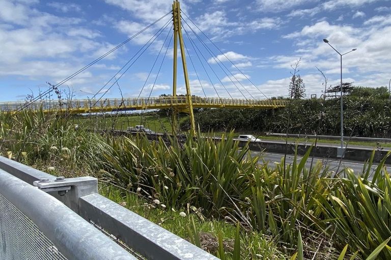 Photo of property in 13 Glenae Lane, Hobsonville, Auckland, 0618