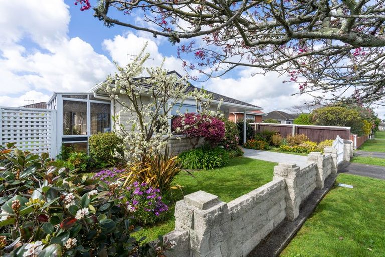 Photo of property in 1 Clark Street, Levin, 5510