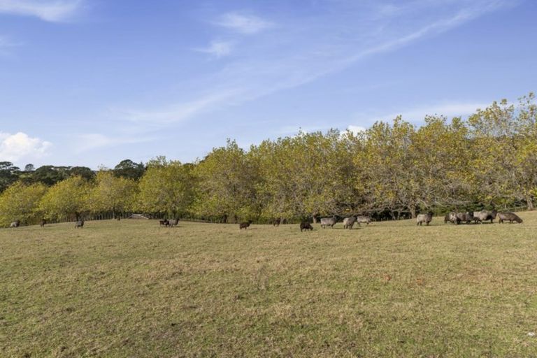 Photo of property in 115 Glenmore Road, Coatesville, Albany, 0793