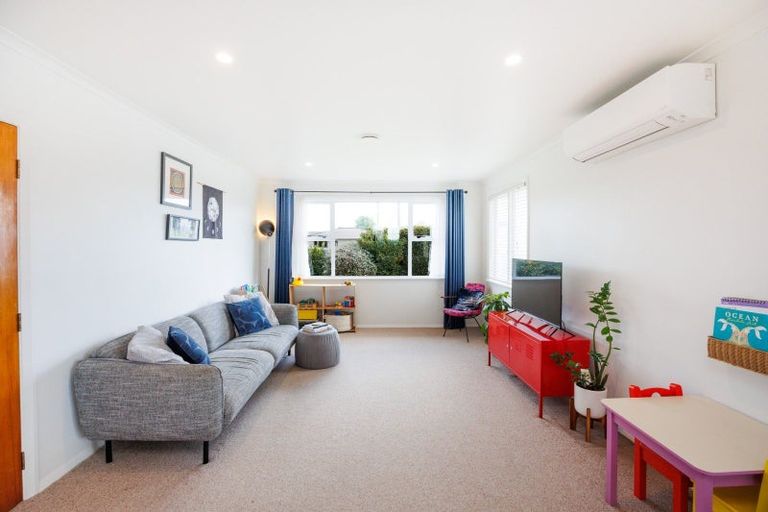 Photo of property in 29 Elizabeth Street, Feilding, 4702