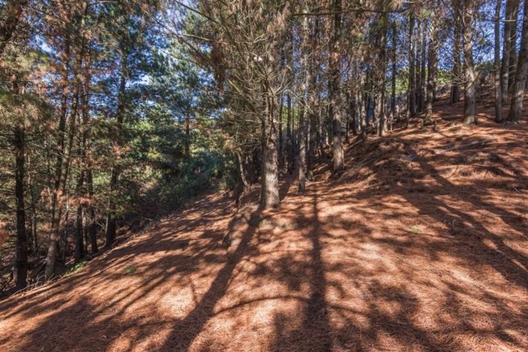 Photo of property in 70 Holliss Avenue, Cashmere, Christchurch, 8022