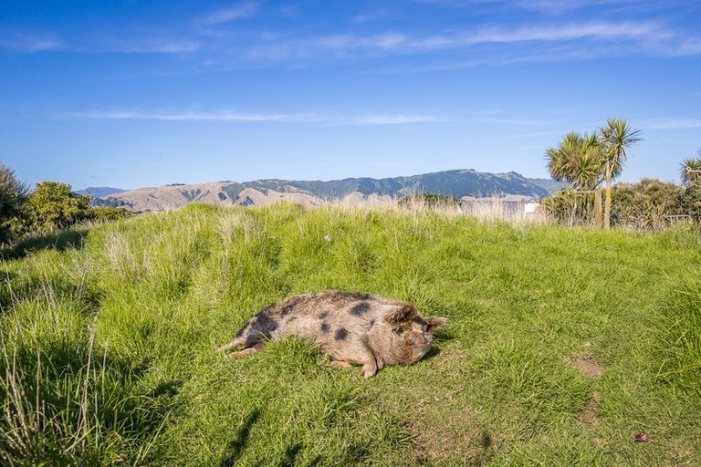 Photo of property in 21 Sandown Road, Te Horo Beach, Otaki, 5581