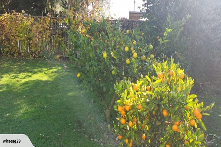 Photo of property in 9 Pickett Place, Morrinsville, 3300