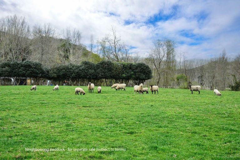 Photo of property in 232 Brownlie Road, Frasertown, Wairoa, 4195