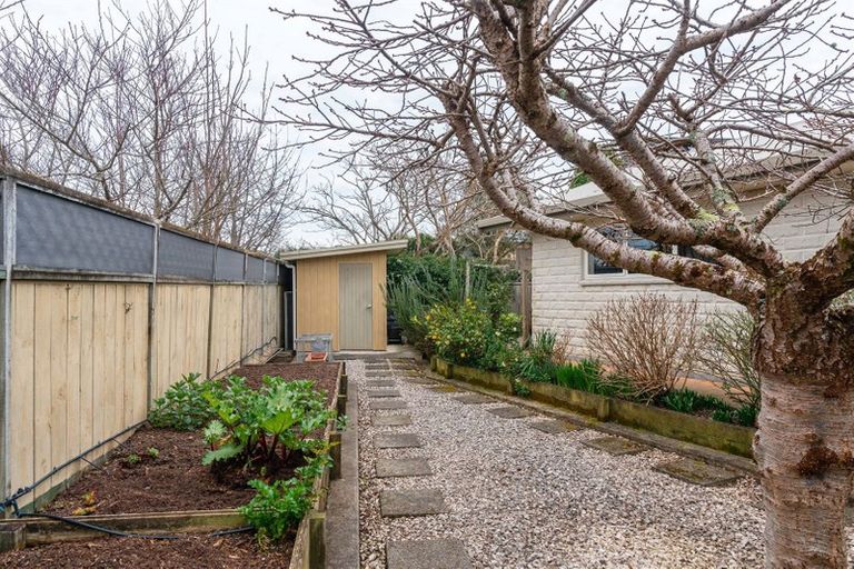 Photo of property in 12 Rewa Place, Lansdowne, Masterton, 5810