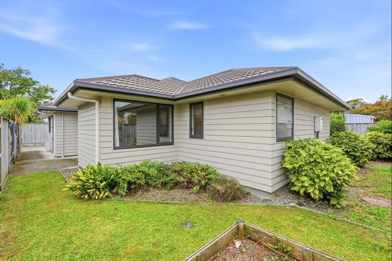 Photo of property in 46 Ward Street, Palmerston North, 4410